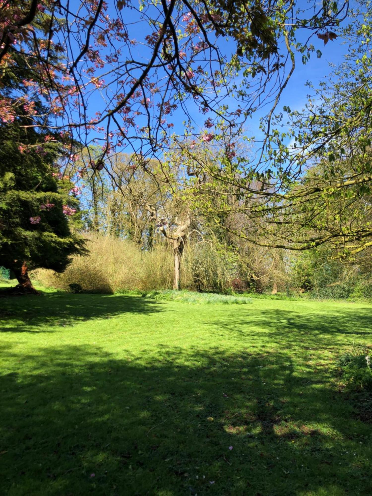Springwood - Royal Hillsborough Βίλα Εξωτερικό φωτογραφία
