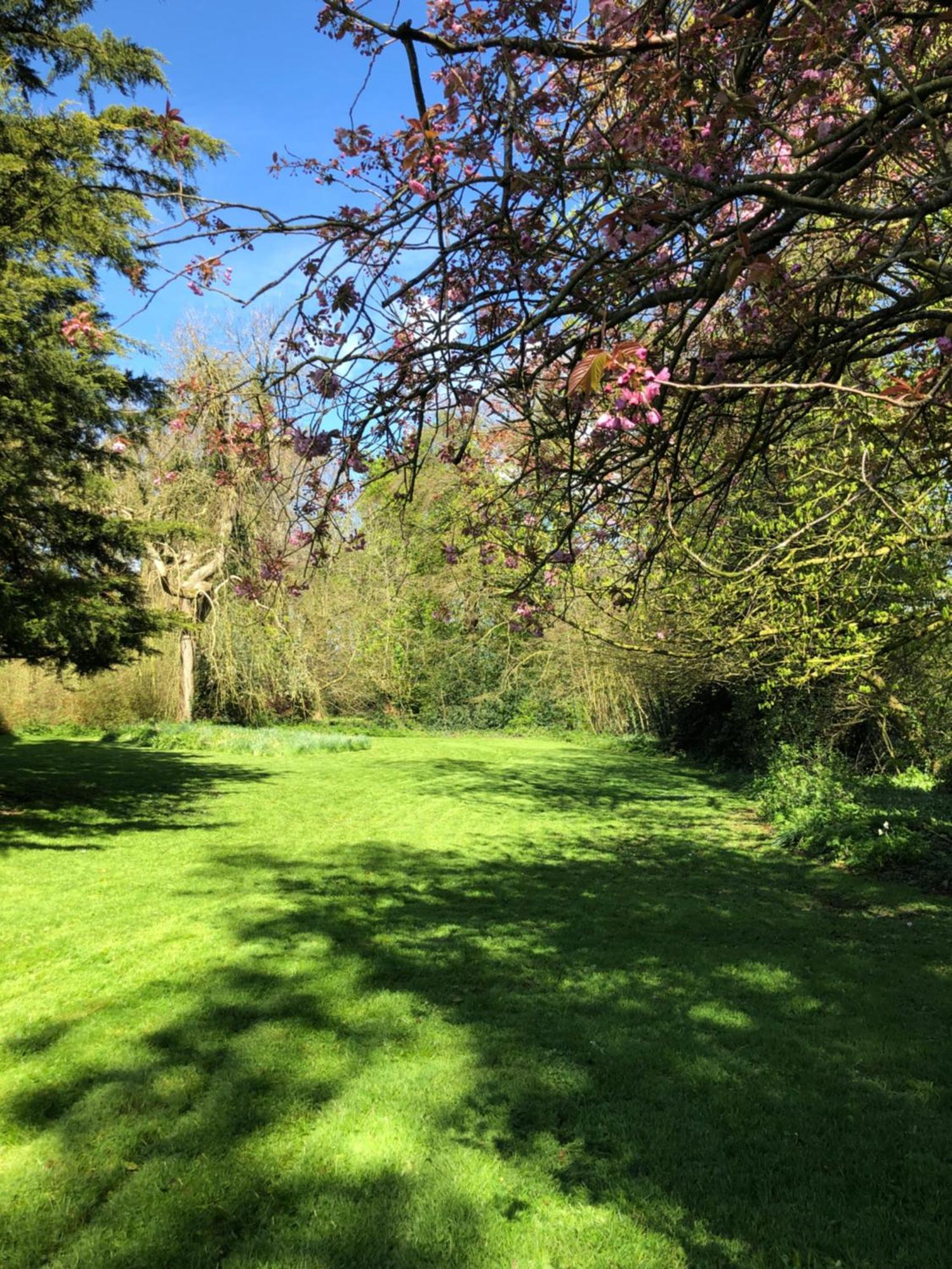 Springwood - Royal Hillsborough Βίλα Εξωτερικό φωτογραφία